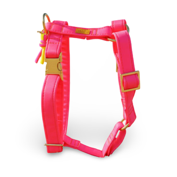 PELLINA - Tuigje Neonique Pink