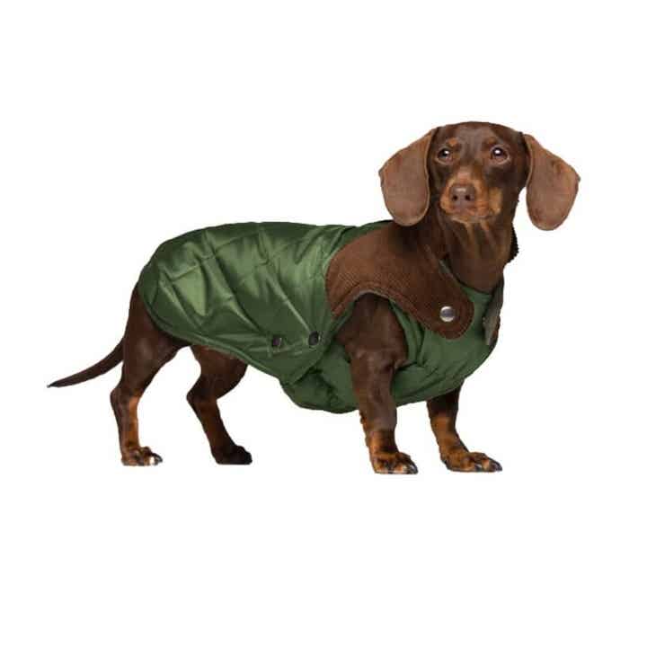 KOOPJE - TQEL - Willy Olive waterproof dogcoat