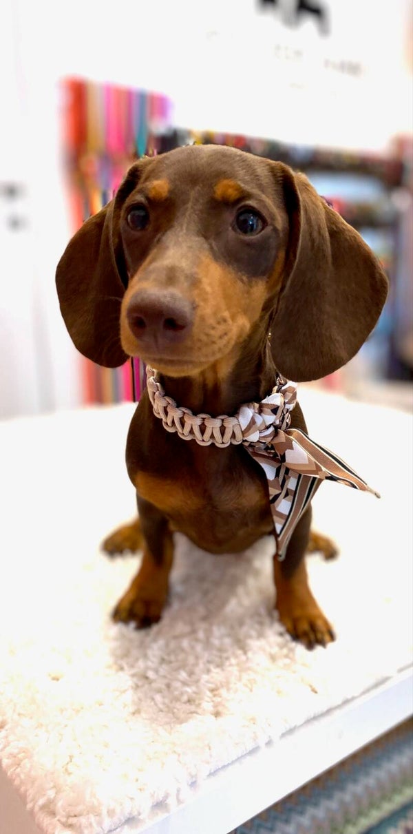 ATELIER AIME - Foulard Collar - Mocha Plaid