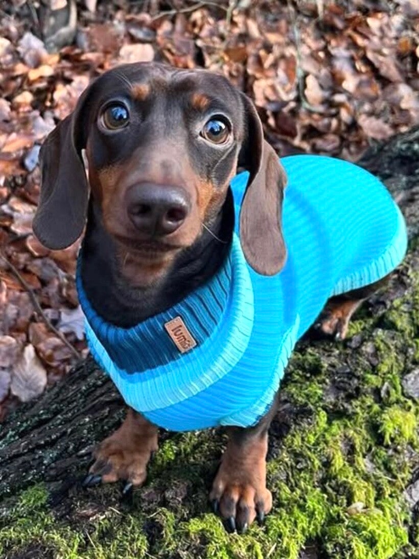 The Glow Jumper Crystal Sky