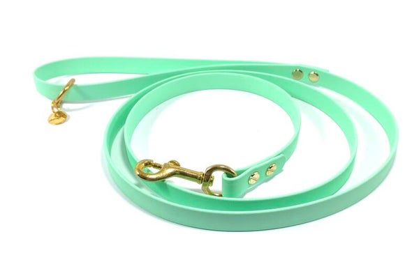 ATELIER AIME - Leiband in Biothane (Mint)