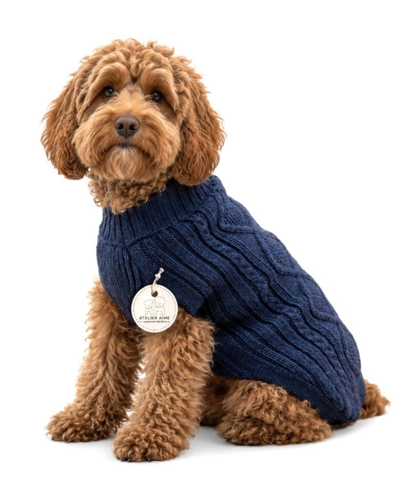 ALQO WASI - Alpaca Dogsweater Blue