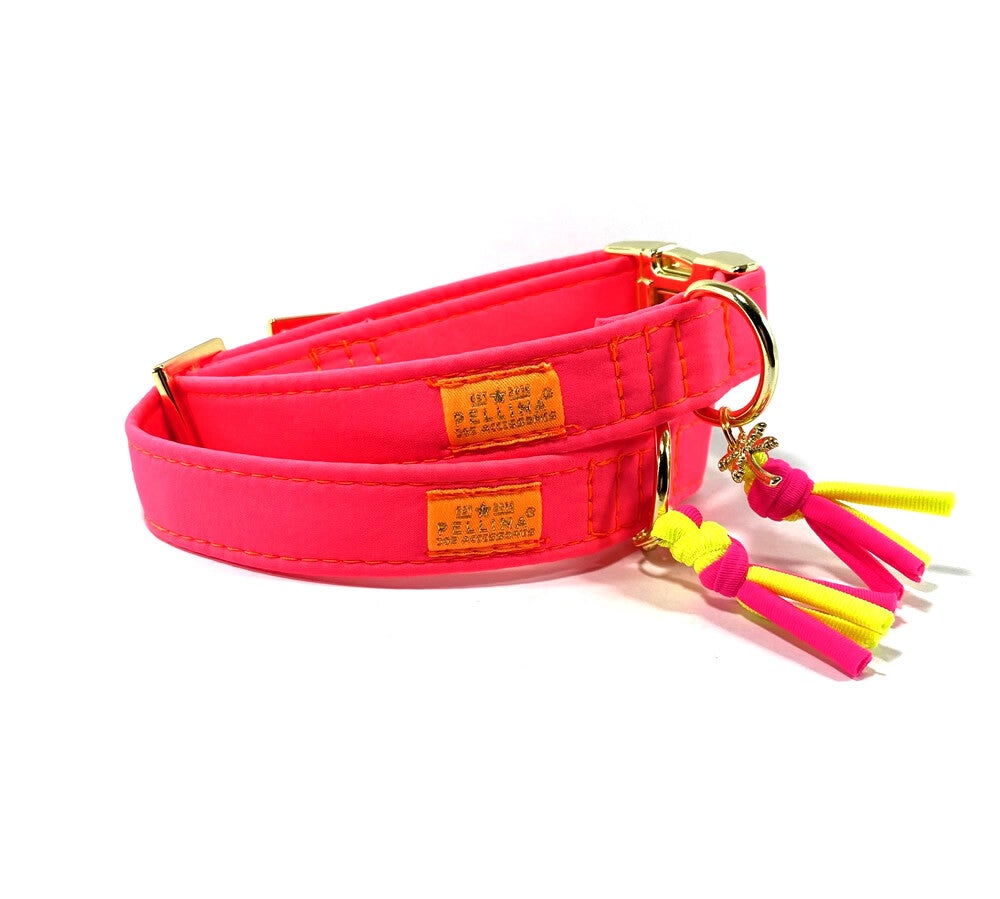 Luxe hondenhalsband Atelier Aimé