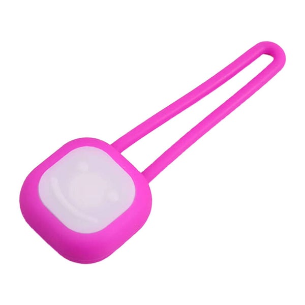 Lichtje Fuchsia