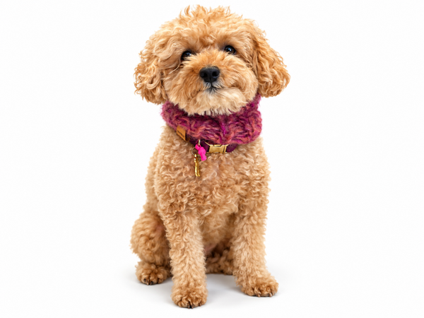 Mohair Snood (Neckwarmer) Shade of Berry - Handgemaakt