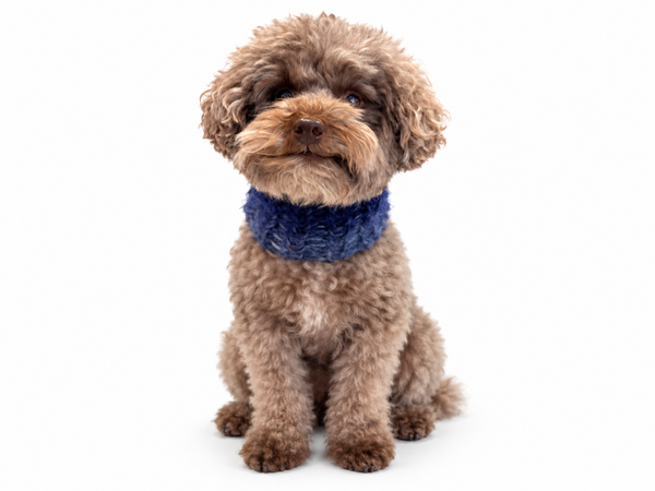 Mohair Snood (Neckwarmer) Shade of Blue - Handgemaakt