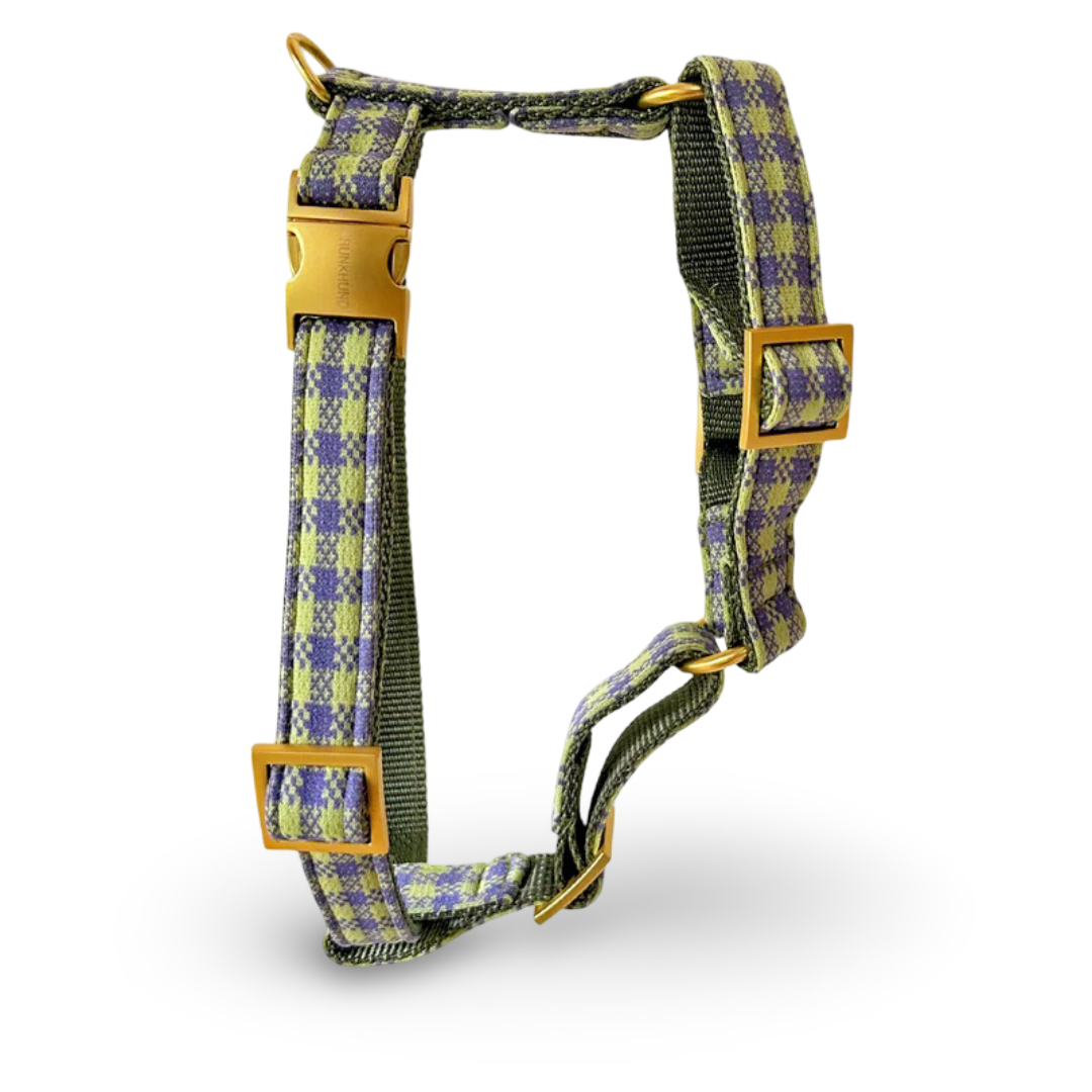 PRUNKHUND - Harnas/tuigje Notting Hill