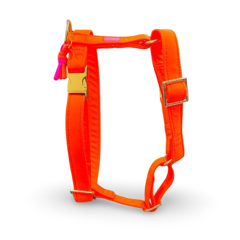 PELLINA - Tuigje Neonique Orange