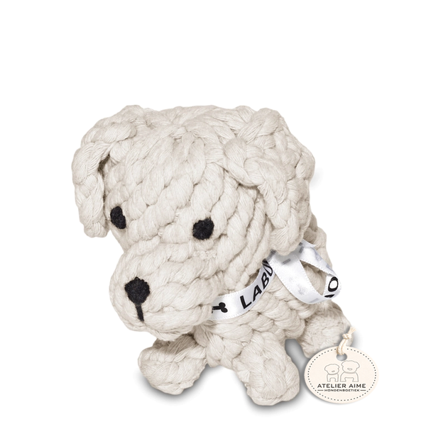 Puppy Tapsi
