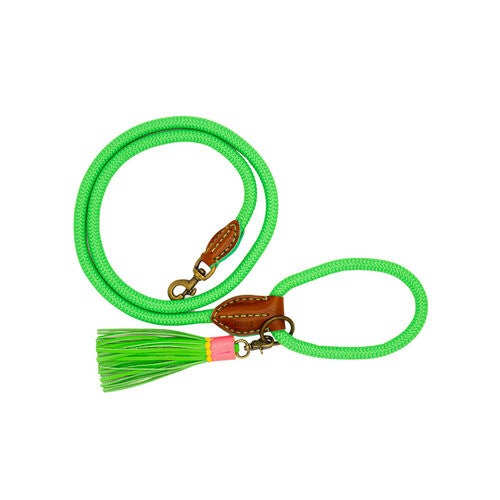 Hondenriem Classic Apple Pie