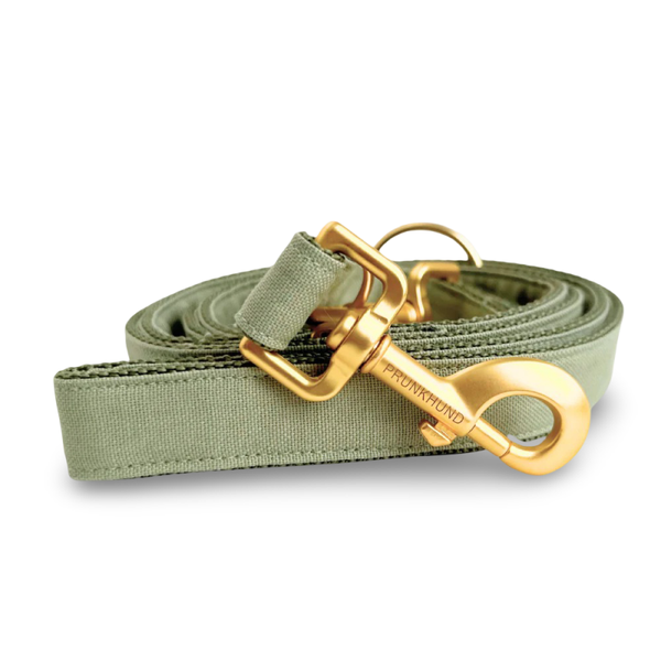PRUNKHUND - Leiband Basic Olive
