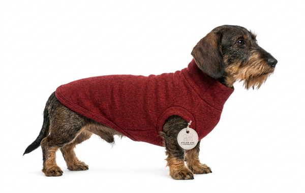 TQEL - Alaska Ruby fleece dogcoat