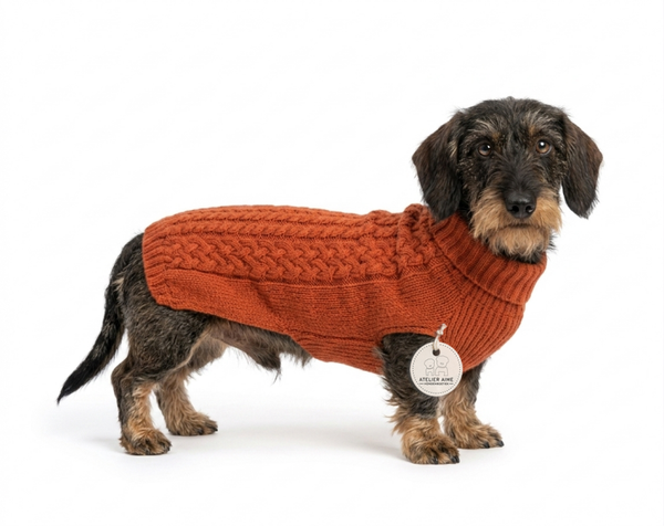 TQEL - Freddie Terra dog sweater