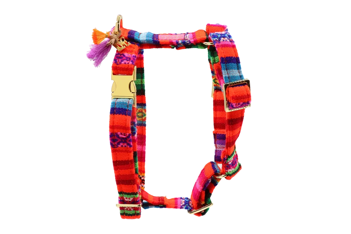 PELLINA - Tuigje Laavida Neon Orange