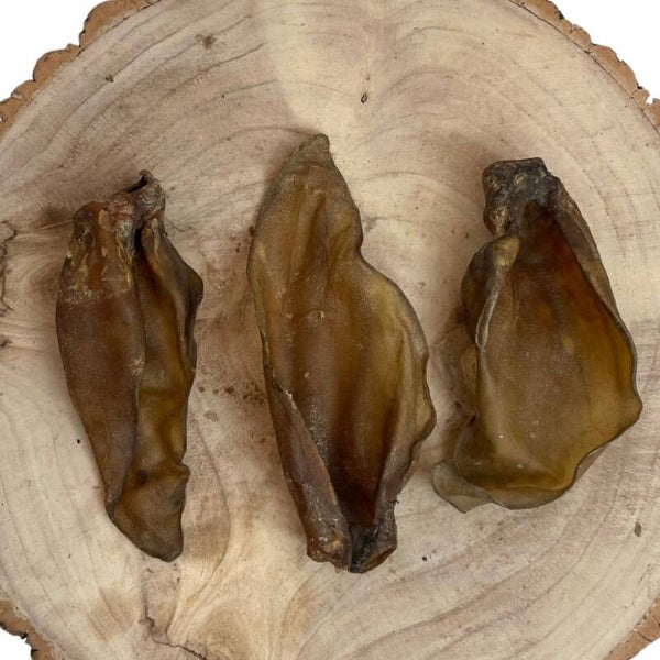 Large Buffalo Ears
