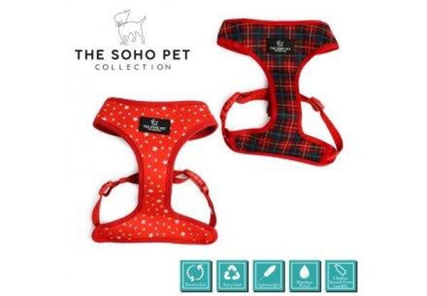 Tartan/Star Patterned Harness (size Medium)