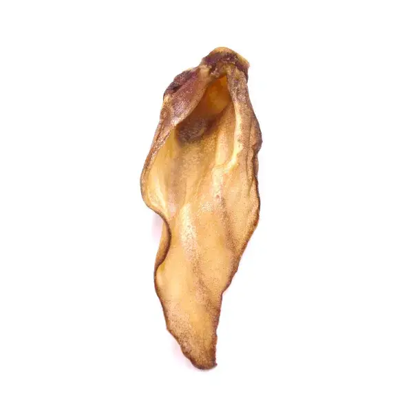 T Forrest Large Buffalo Ear