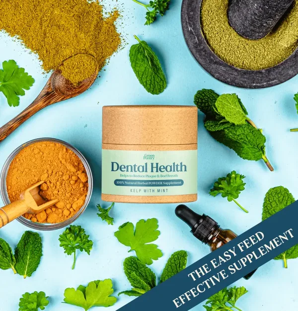 Green Pantry -  Natural Dental Supplement