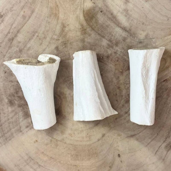 Filled Sterilised Bones Meaty