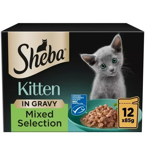 Sheba Kitten x12 in gravy