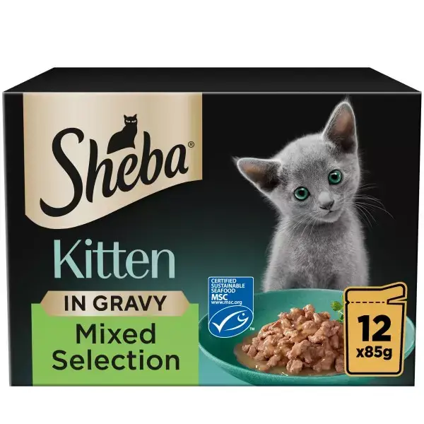 Sheba Kitten x12 in gravy
