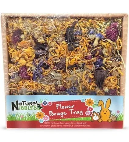 Natural Nibbles Flower Forage Tray 80g