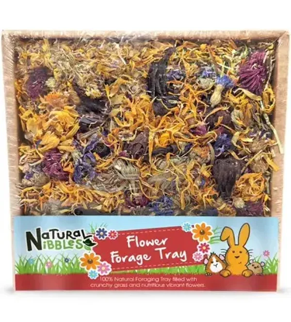Natural Nibbles Flower Forage Tray 80g