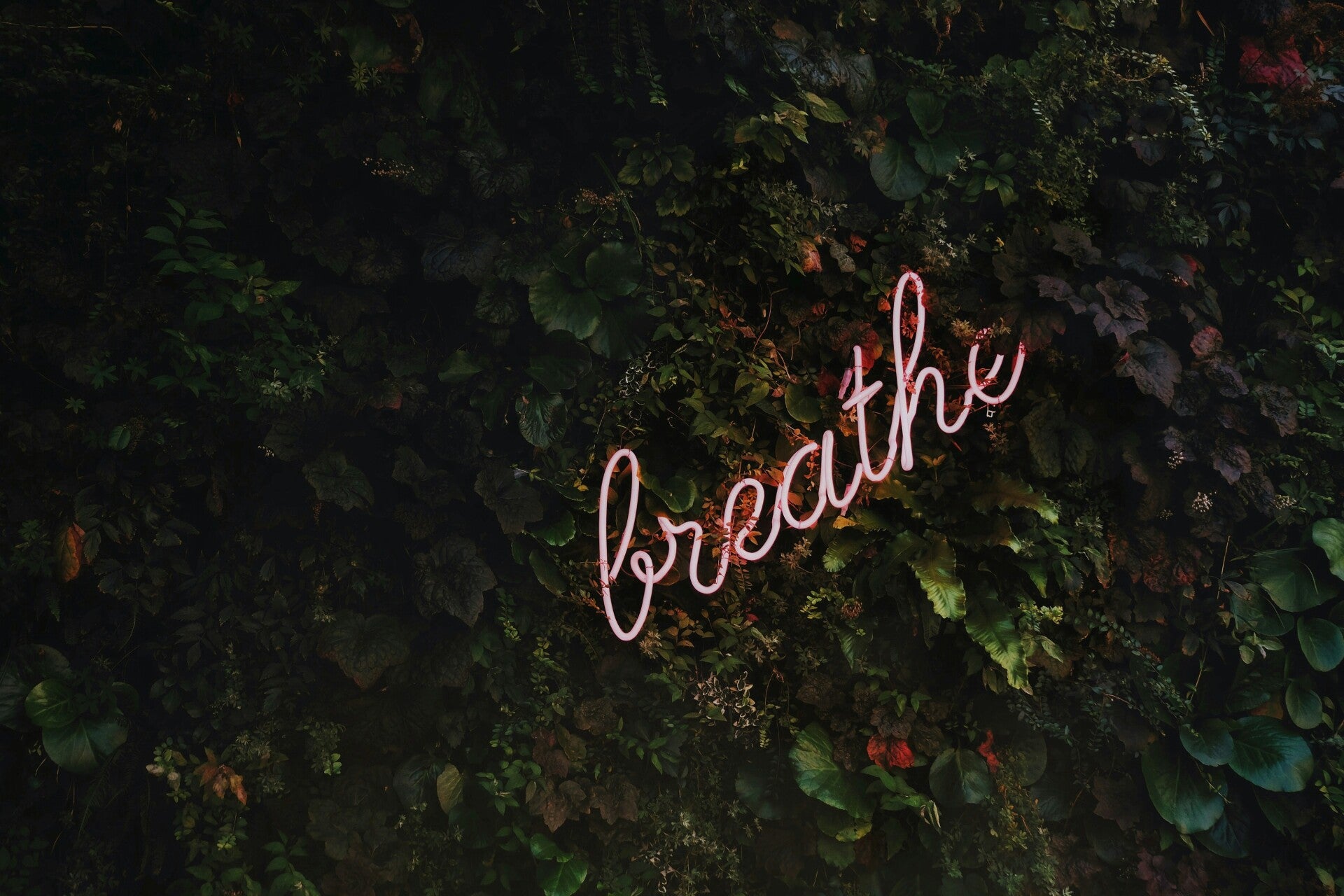 Neonverlichting van het woord breathe
