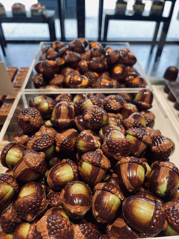 Herfsteikels melkchocolade praliné 100gr