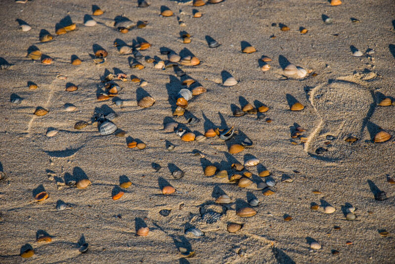 footprints_in_the_sand.jpg