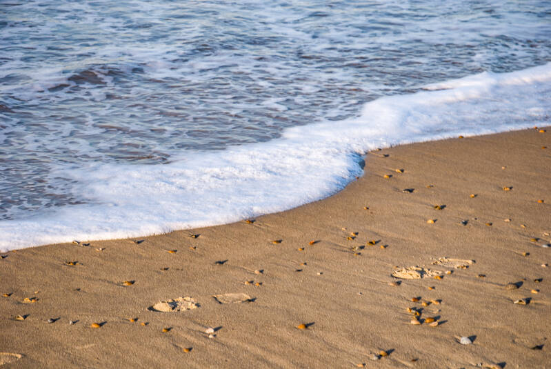 footprints_in_the_sand.jpg