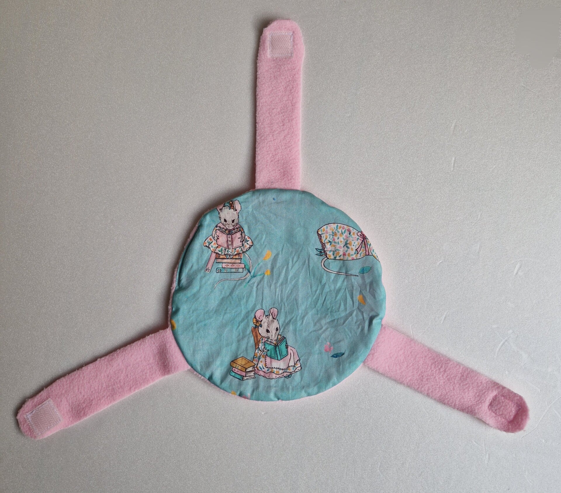 Sputnikkissen - Leseratte