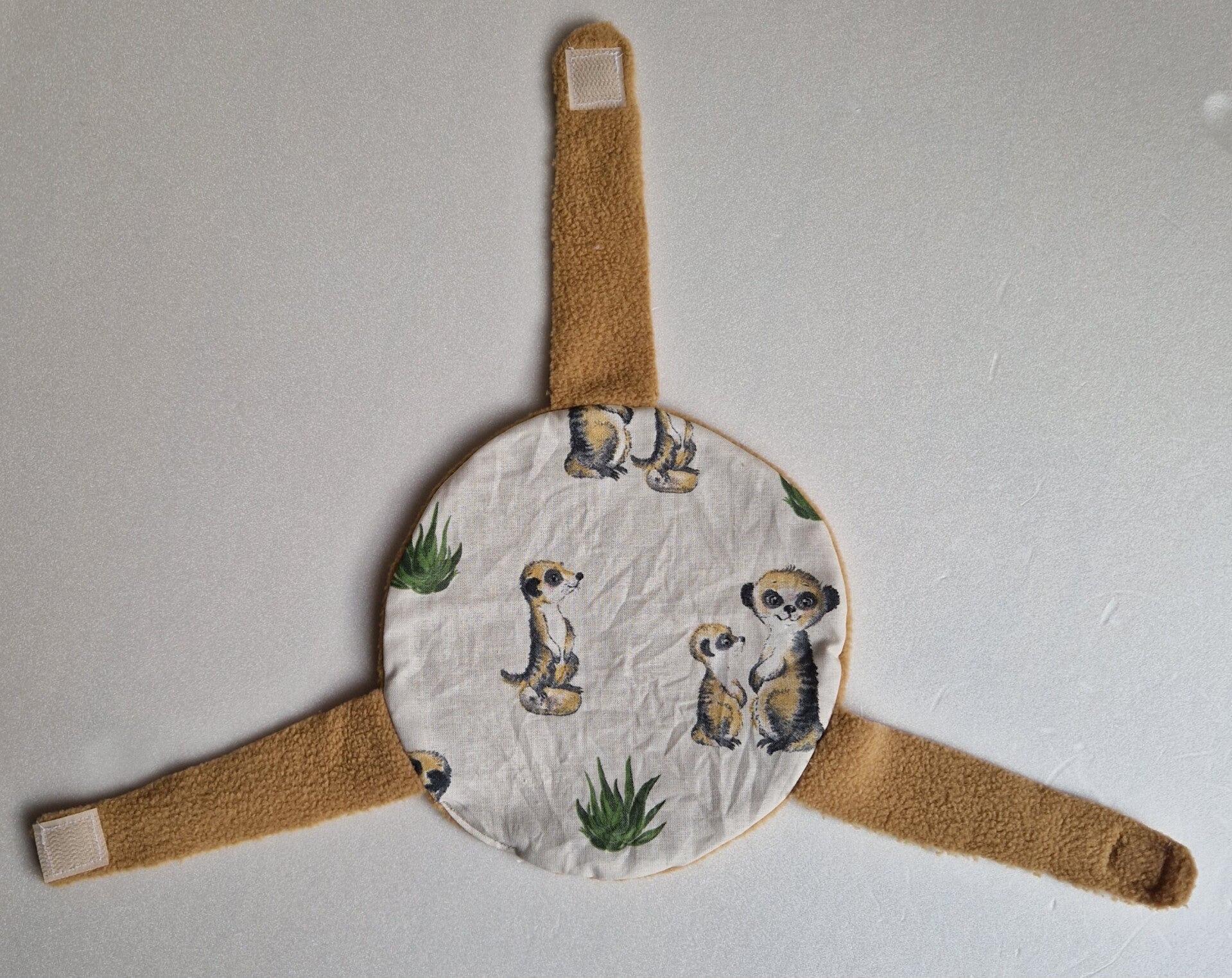 Sputnikkissen - Erdmännli