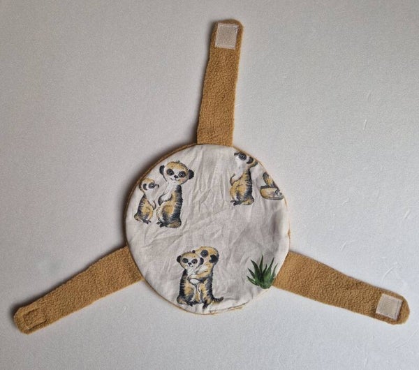 Sputnikkissen - Erdmännli