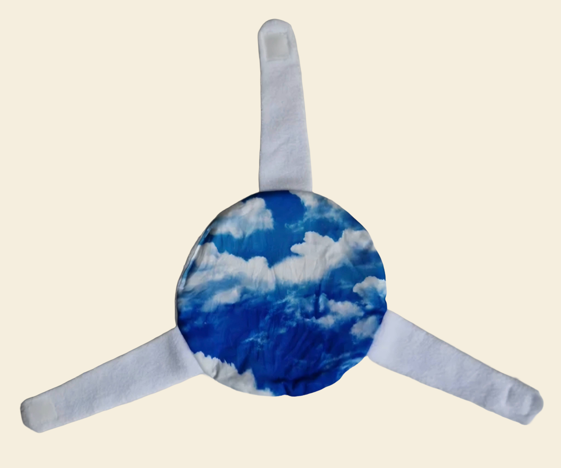 Sputnikkissen - Sky