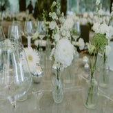 dsc06594-standard.jpg