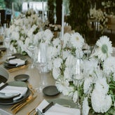 dsc06603-standard.jpg