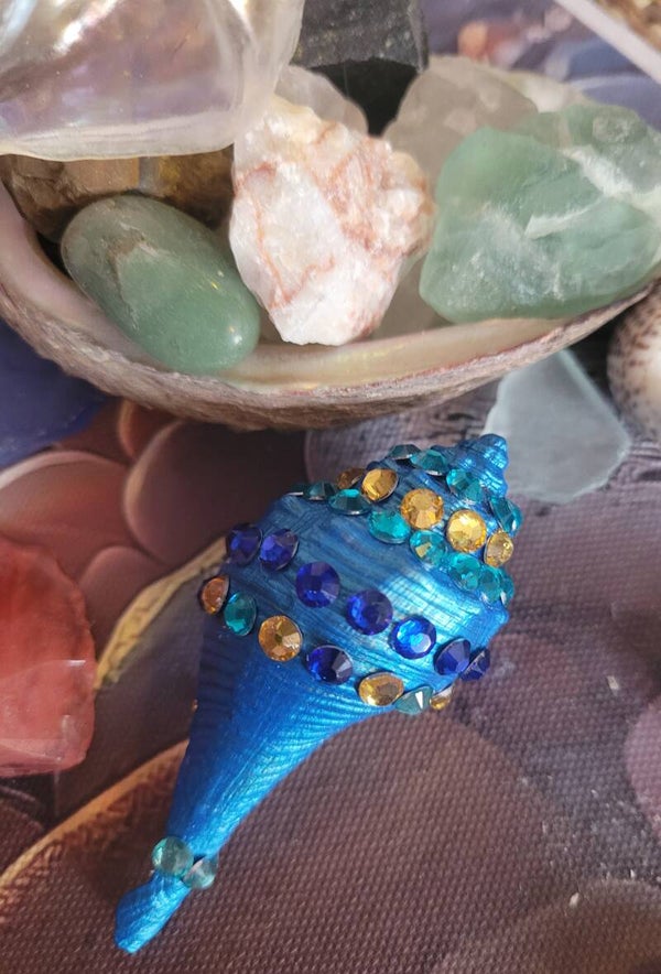 Conch shell brooch