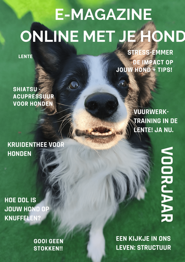 Gratis tijdschrift met tips voor honden