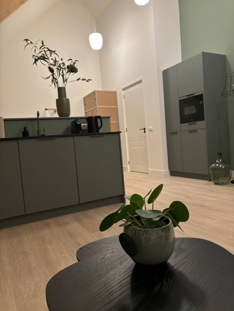 Bed & Breakfast Lutje Borg, Mitling-Mark, Westoverledingen, Ostfriesland, Niedersachsen, Deutschland 