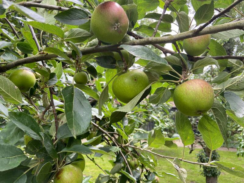 Bed & Breakfast Lutje Borg, Mitling-Mark, Westoverledingen, Ostfriesland, Niedersachsen, Deutschland 