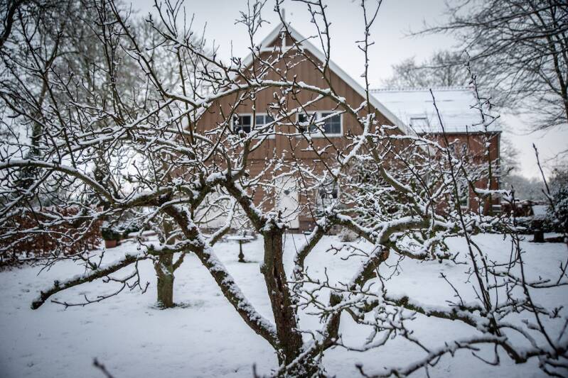 Winter 2025/2026 B&B Lutje Borg Mitling-Mark Westoverledingen Ostfriesland