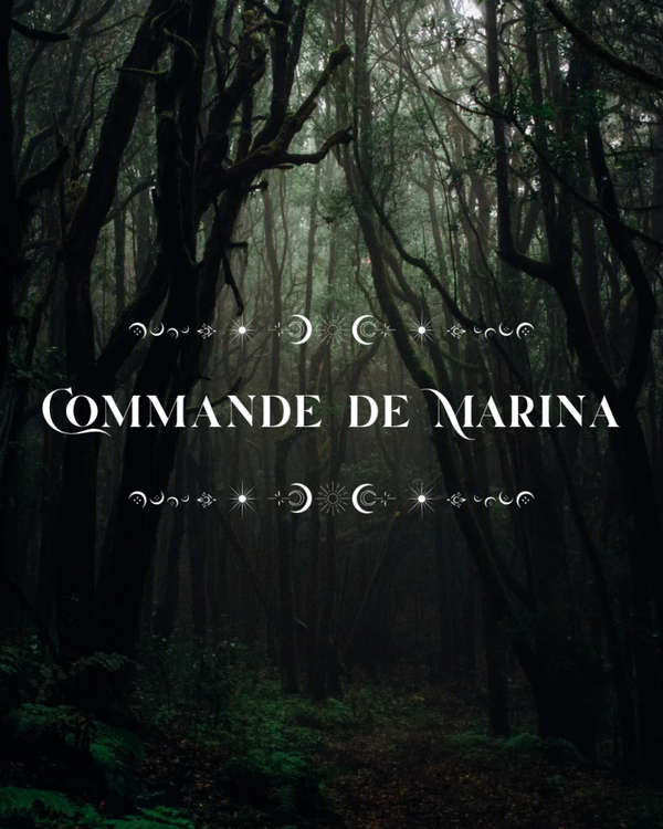 Commande de Marina