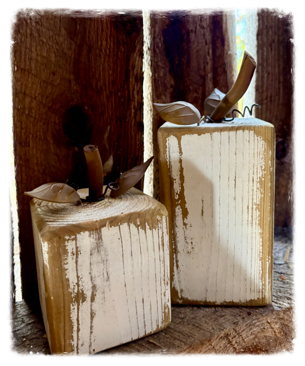 Citrouilles rustiques (2)