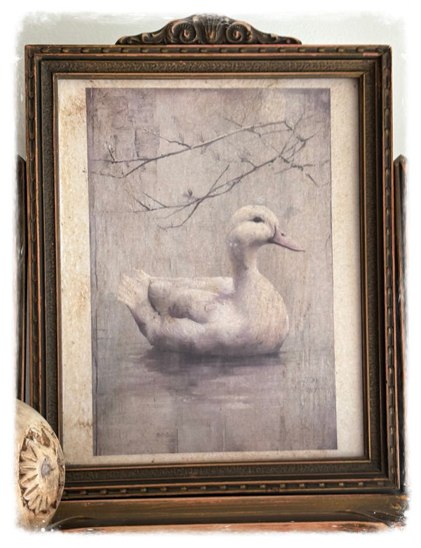 Cadre vieillot canard blanc