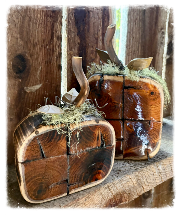 Citrouilles réversibles (2)