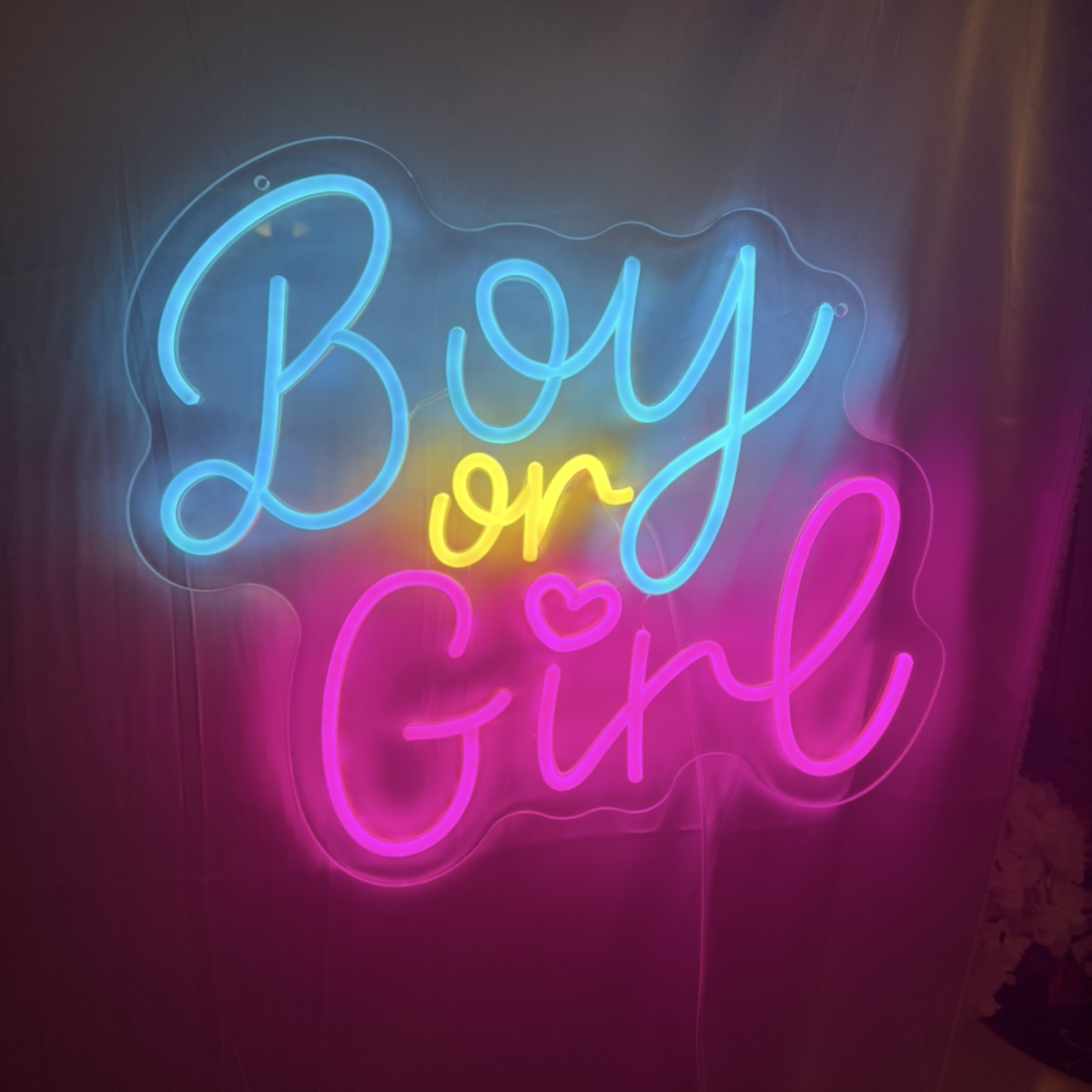 Boy or Girl neon sign