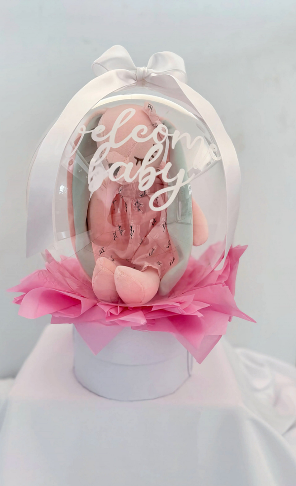 Welcome Baby Bobo Balloon