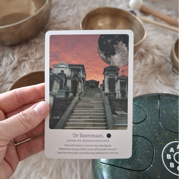 Klankenmeditatie - Nieuwe Boommaan (21 december)