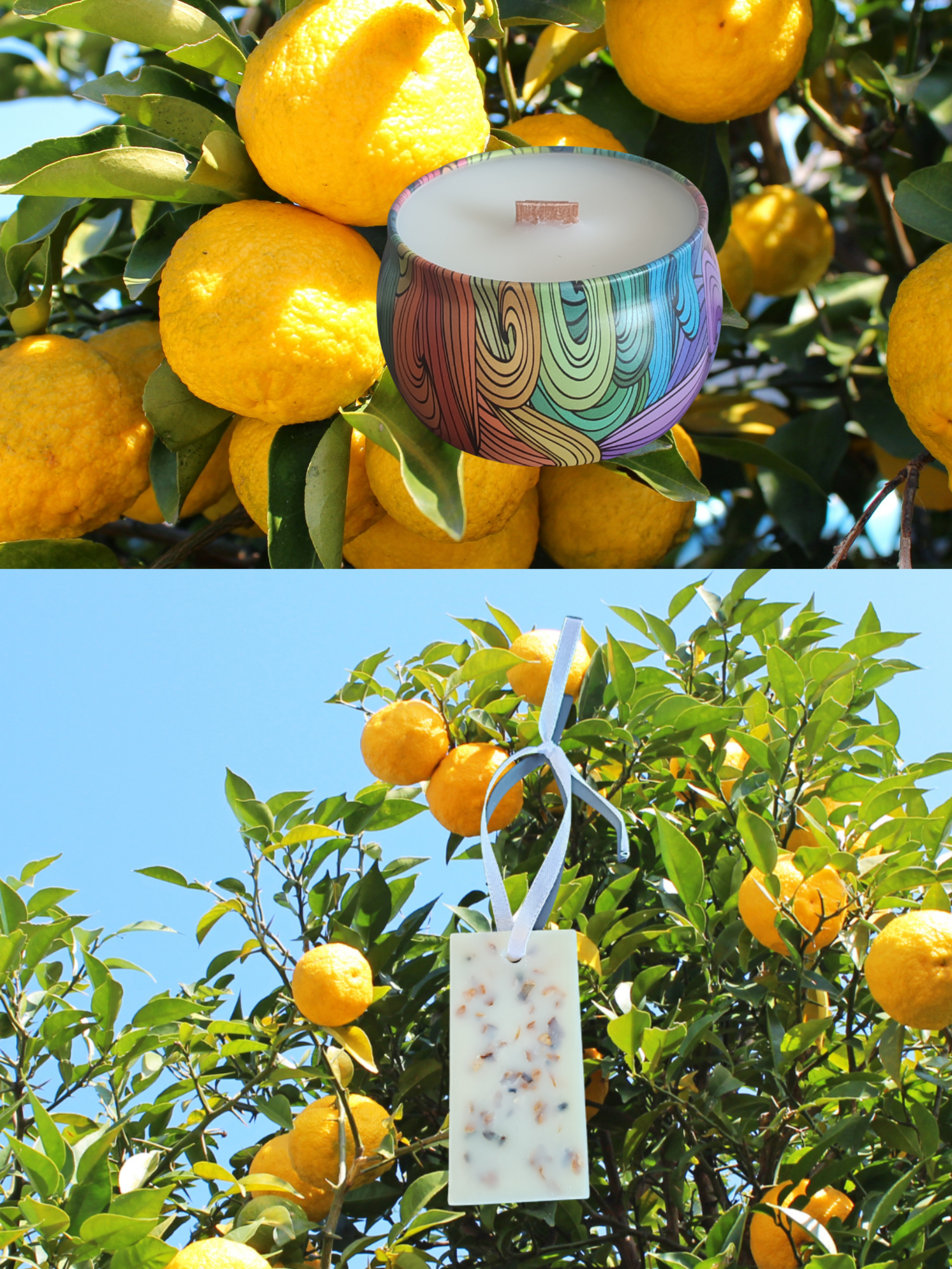 BOUGIE PARFUMÉE YUZU + SUSPENSION ARMOIRE CITRON